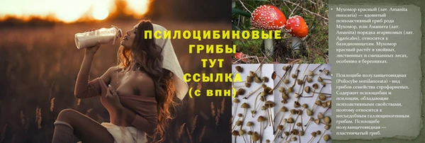 jwh Алексин